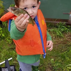 Meet your Posher, Mikayla